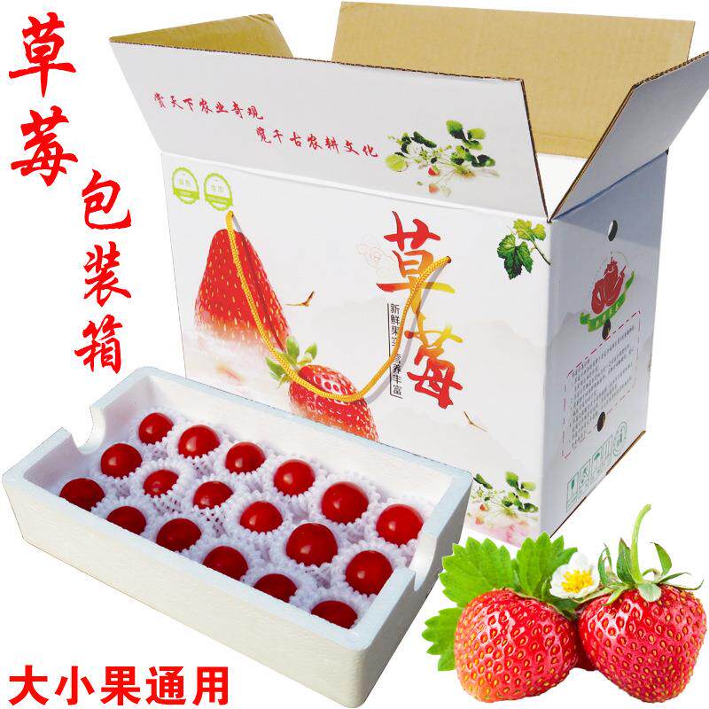 草莓快递专用泡沫包装箱 水果分格托盘 3斤打包盒5防摔分层礼品盒