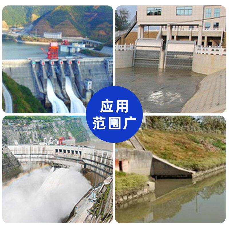 铸铁不锈钢双向拍门库排水鱼河防道倒灌圆水形塘钢制玻CPD璃钢闸
