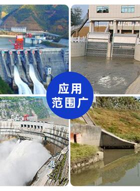 铸不钢双向拍门水库锈排水鱼塘河道防倒灌铁圆形钢钢YOI制玻璃闸