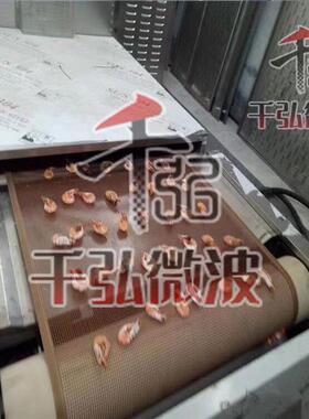 商用续连式海产烘干品机械式干燥设箱备海带虾仁QH-20PW-鱿鱼烘干