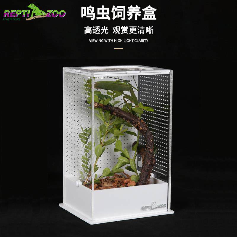 Reptizoo压克力饲养盒蚂蚱昆虫盒螳螂罐螽斯笼子鸣虫生态盒蟋蟀箱