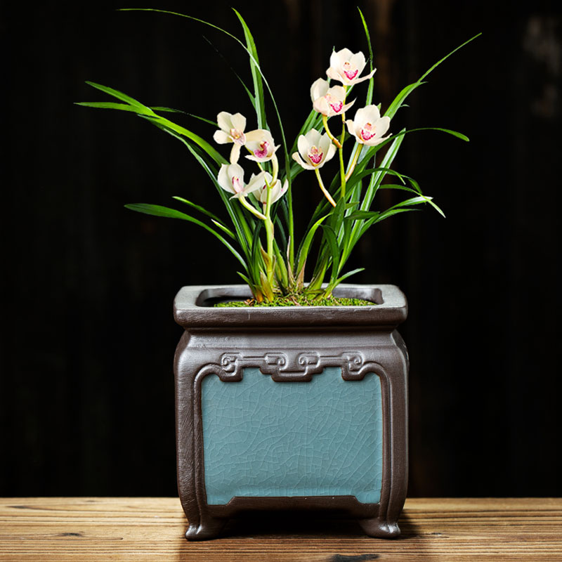 紫砂花盆大号陶瓷哥窑家用高端室内桌面兰花榕树绿植透气盆景造