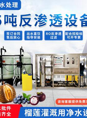 5t反渗透设备食品厂饮料用净水机大棚蓝莓蔬菜榴莲灌溉用净水设备