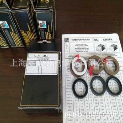 意大利INTERPUMP W2141泵配件KIT181 KIT182 KIT169