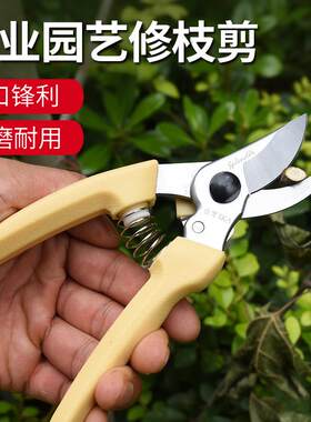 佐佐木130剪刀修枝剪 果树高枝剪摘果剪/大力粗枝剪园林修剪树枝