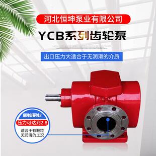 铸铁YCB圆弧齿轮泵 自吸式抽油润滑泵 电动输送液压齿轮泵
