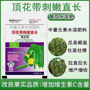黄瓜苦瓜丝瓜顶花增瓜嫩直长液面肥蔬菜肥料营养液坐果灵花打顶