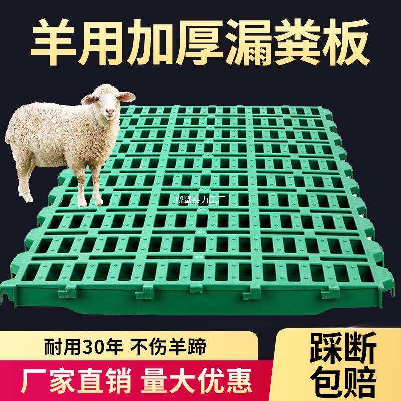 羊用漏粪板塑料养羊竹床板养羊专用接粪羊圈羊棚羊舍栏漏缝板养殖
