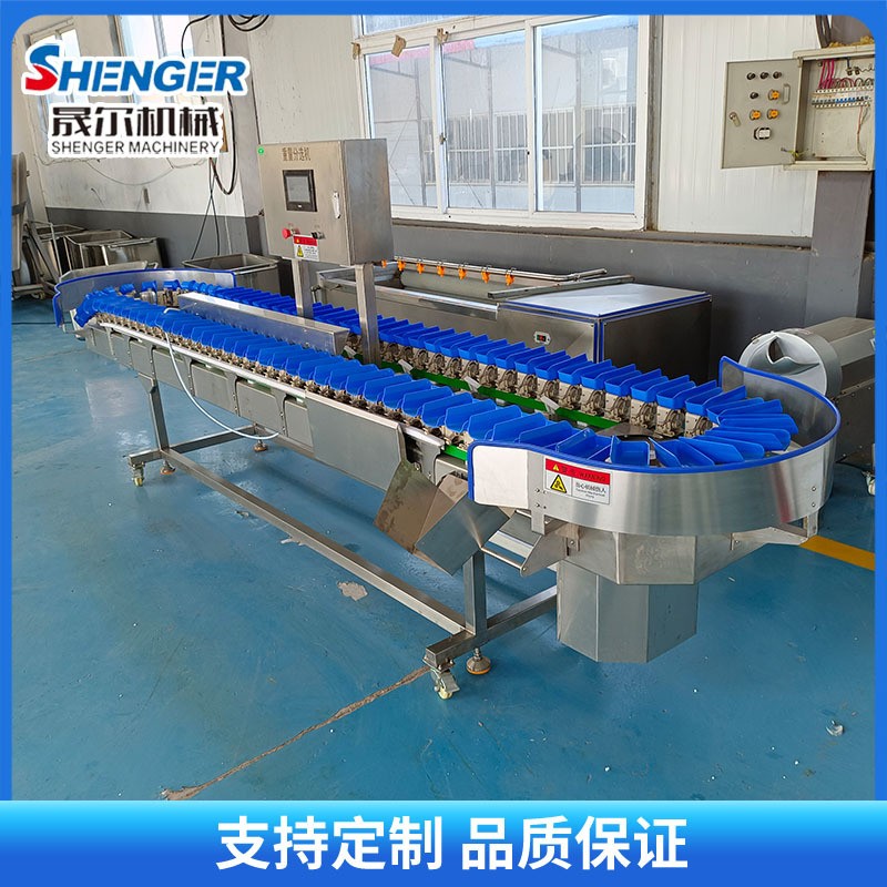 瓜果蔬菜自动称重分拣机 高精度海参重量分选机 土豆番薯分选机