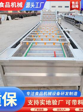 生菜果蔬气泡清洗机不锈钢白菜清洗机果蔬清洗设备厂家供应