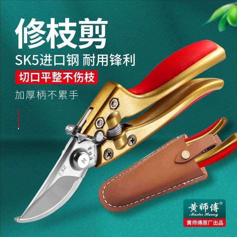 黄师傅SK5钢修枝剪园林园艺剪省力农用剪花枝果枝剪树枝专用剪子