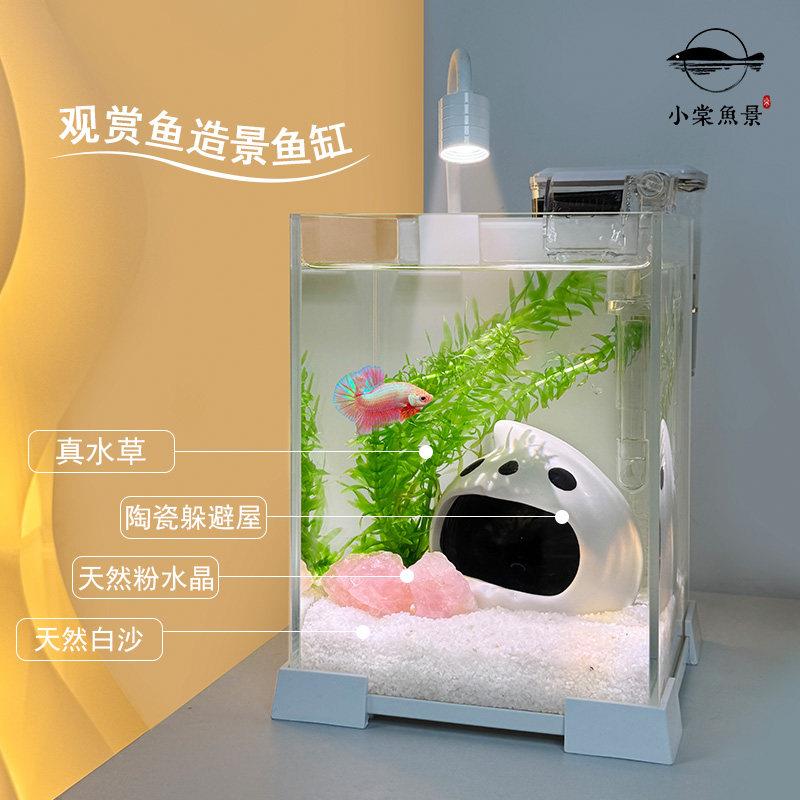 鱼缸小型客厅新款捣蛋鬼造景静音桌面斗鱼鱼缸白背生态超白玻璃缸