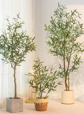 北欧彷真绿色植物橄榄树假盆栽大型摆件客厅室内装饰盆景彷生植物