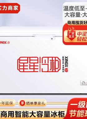 星星冰柜冷藏保鲜冷冻冰箱速冻雪糕冷饮海鲜柜卧式冷柜商用冰柜