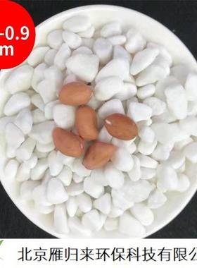 庭园院散铺景834林绿化用白色石子面碎石卵石造鱼缸造景盆栽铺鹅