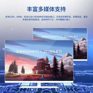 米尔 全志T507开发板 Linux安卓国产核心板 工业级 四核A53