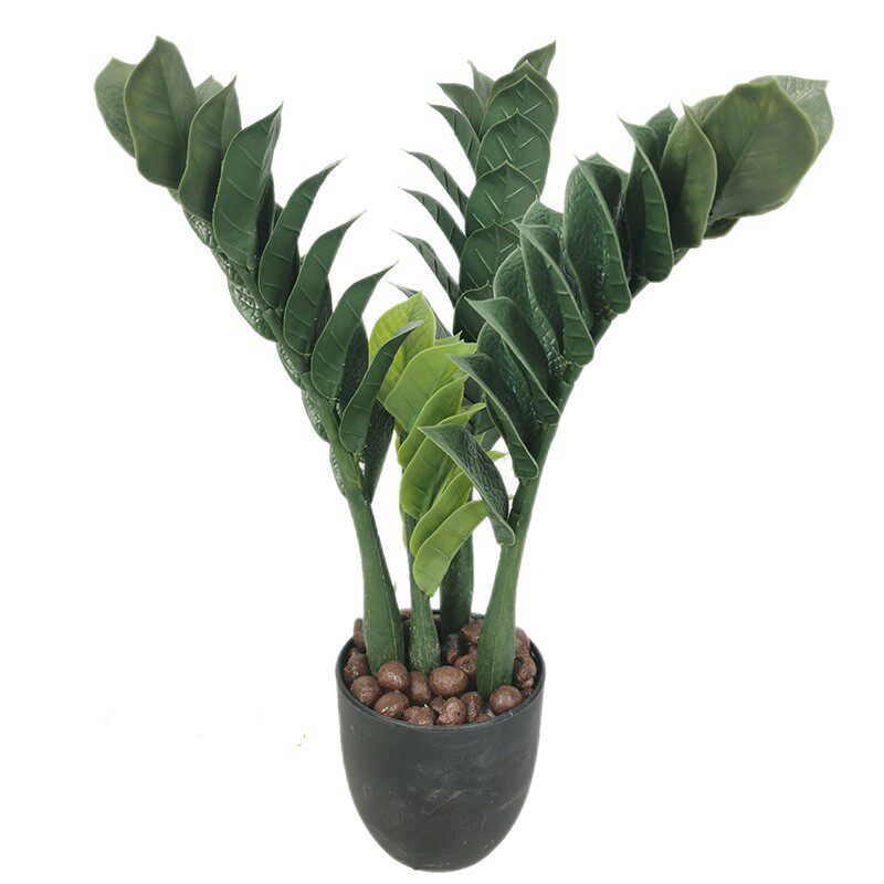 仿真植物金钱榕树盆栽热带绿植酒店室内装饰摆件仿真发财金钱树