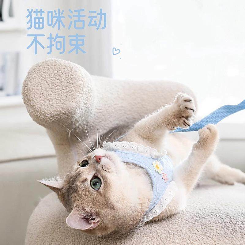 猫咪衣服带牵引绳猫猫小猫外出遛猫绳背心式布偶猫溜猫防挣脱网红,宠物/宠物食品及用品,猫牵引绳,淘宝优惠券,粉丝福利购,淘宝优惠卷