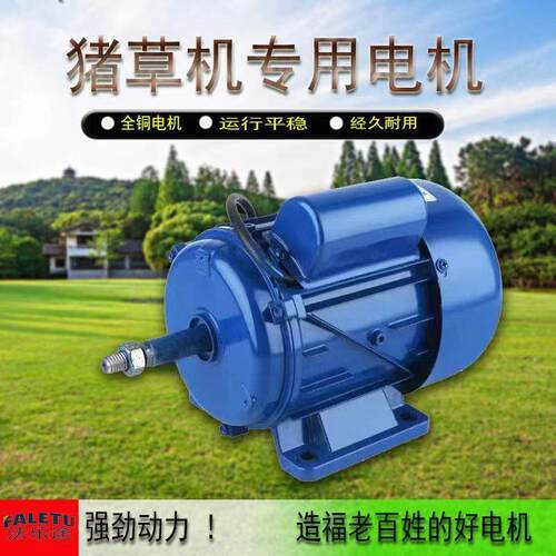 切草机专用电机220V二相电纯铜电动机小型家用猪草机铡草机马达