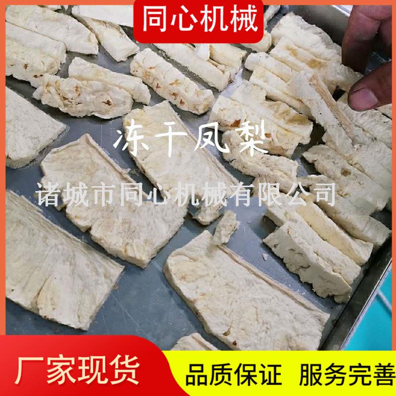 FD低温菠萝冻干机脆片冷冻干燥加工设备真空商用电加热