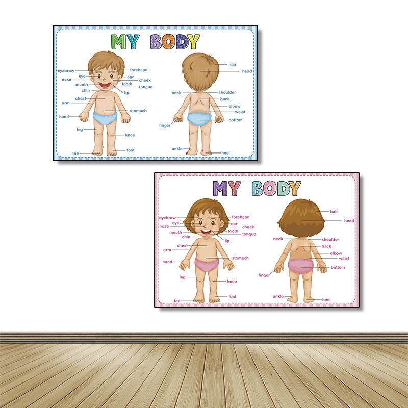 儿童身体部位英文学习贴纸 幼稚园早教防水认知墙贴 教学海报,个性定制/设计服务/DIY,写真/海报印制,淘宝优惠券,粉丝福利购,淘宝优惠卷