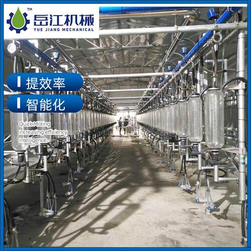 中置式挤奶机 余奶回收牧场挤奶设备 9JZ-1×8中置式计量挤奶厅