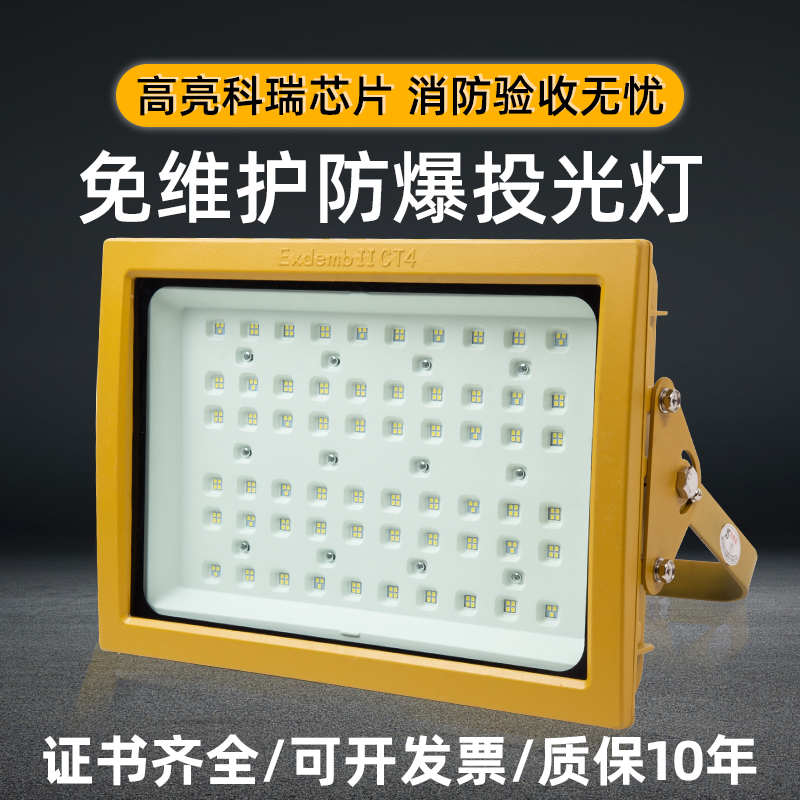 国标led防爆灯ip66隔爆型100w加油站厂房仓库户外投光灯泛光灯