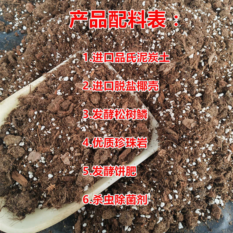 竹子专用土观音竹红竹内门竹簕竹米竹罗汉竹凤尾竹营养土种植土壤