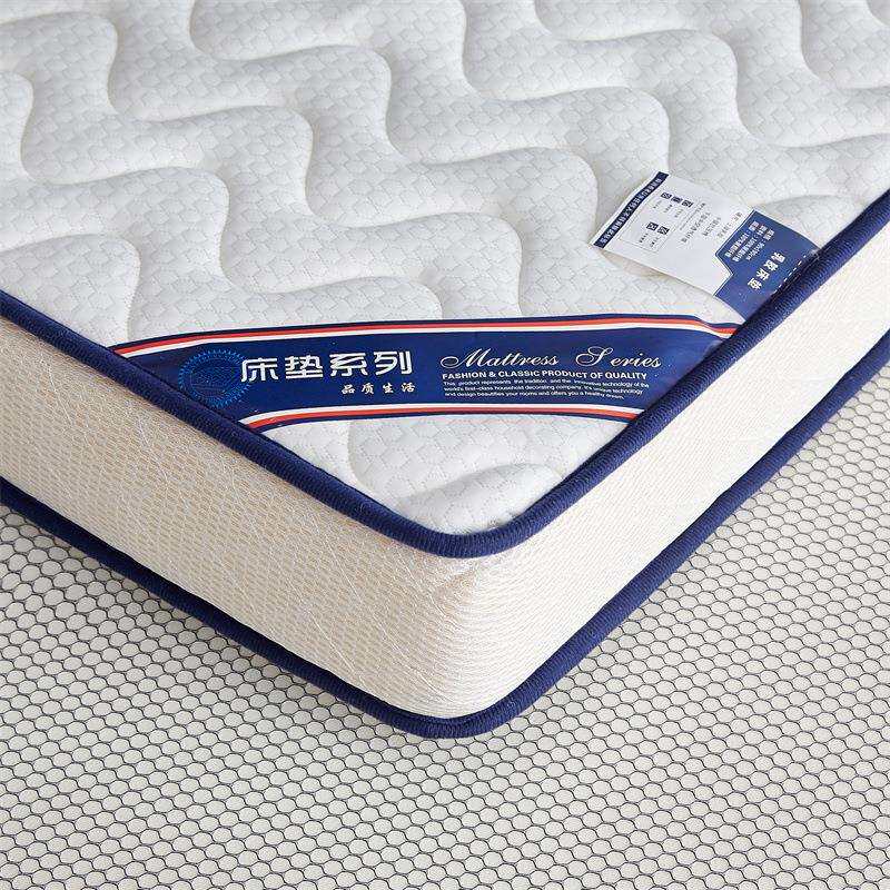 乳胶床垫家用厚款1米8×2米软垫学生宿舍90x190床垫子榻榻米褥子