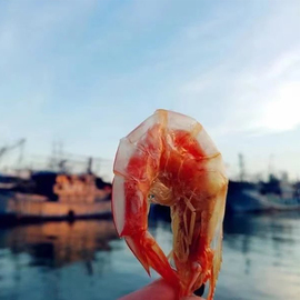 福建东山岛海虾干新鲜海虾，原味淡干干货，零食海鲜即食