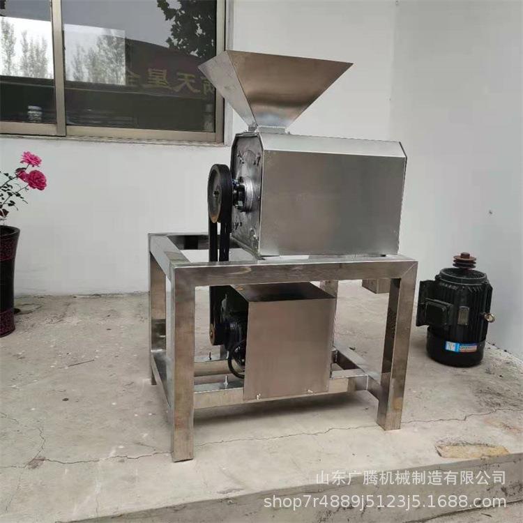 商用工业枇杷去核打浆机黄皮果余甘去皮去籽机高速水果打浆设备