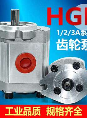 液压高压齿轮油泵HGP-3AF6R F8R F11R F14R F17R F23R F25R F28R