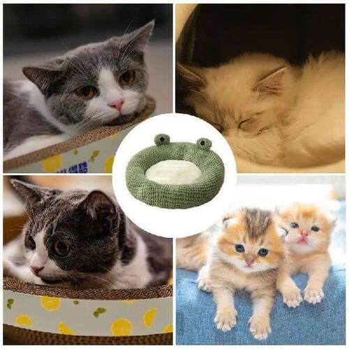 Frog Shaped Cat Bed Cartoon Non-slip Pet Bed Cat Beds For