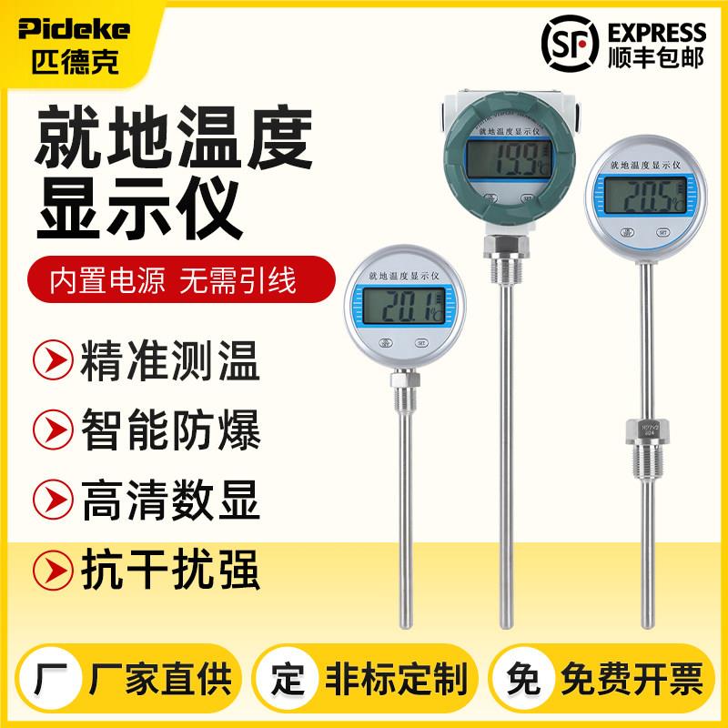 防爆就地温度显示仪带监视器PT100热电阻偶一体化数显温度计工业