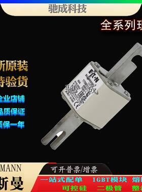 巴斯曼170M3161 170M3162 170M3163 长期优价供应 方体熔断器