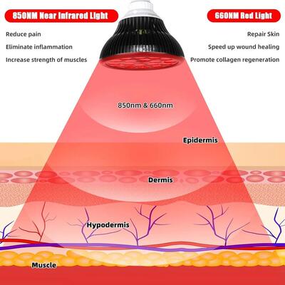 54W2pLH-54WB0a2r38光灯高支架日光浴美黑灯E6/E7带桌面蓝便携理