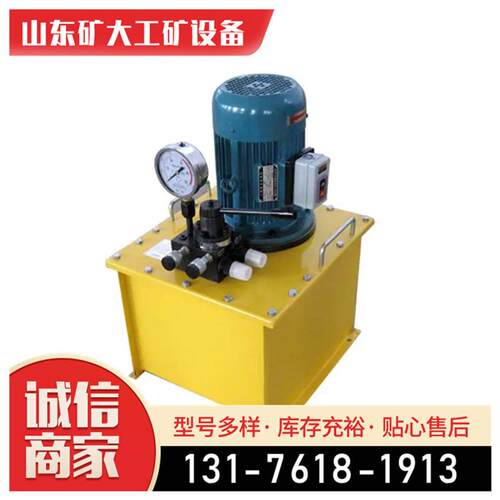 双向电动泵 小型电动油泵 压油泵液压站 大吨位手提式液压泵其他