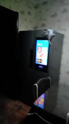 来诉说下云米 BCD-428WMLA怎么样,使用11天后,揭秘质量真相!