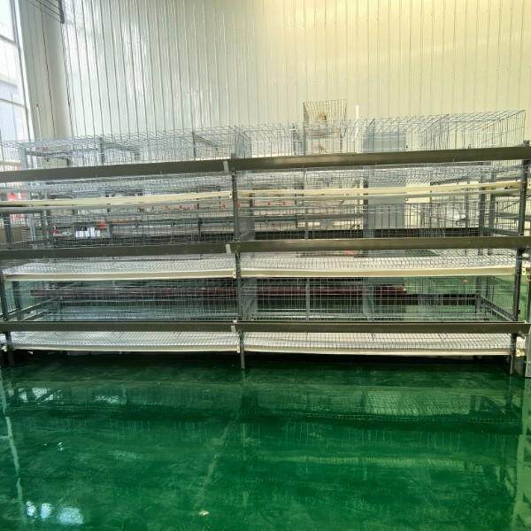 农用禽类养殖设备三层双边蛋鸡笼镀锌材料用户外阶梯式鸡笼子