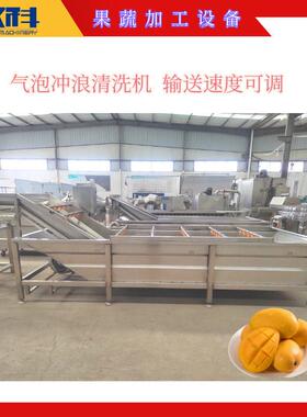 商用气泡清洗机 臭氧杀菌洗菜机 食品厂净菜加工设备
