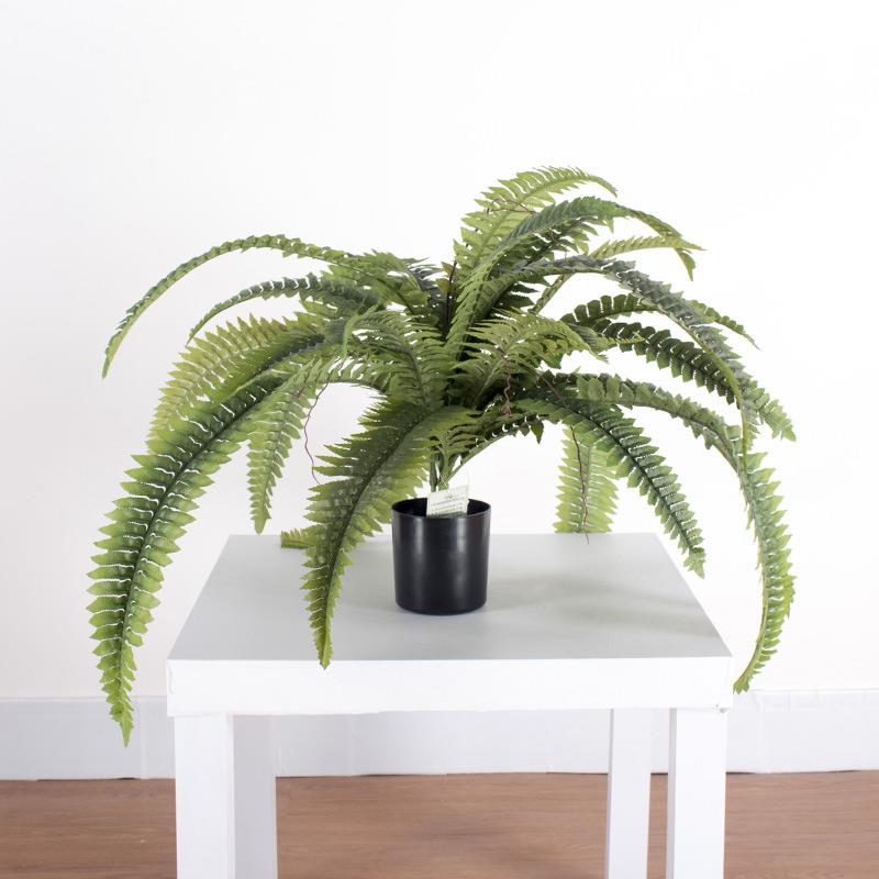 仿真蕨草植物小盆栽 人造小盆景摆件造景装饰波斯草树芒蕨草植物