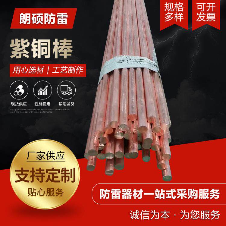 厂家紫铜棒实心 铜棒接地防雷导电红铜棒敲打模具敲击铜棒紫铜棒