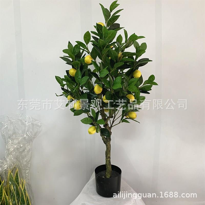 柠檬树枝盆栽园林景观植物果树室内庭院装饰假树绿植