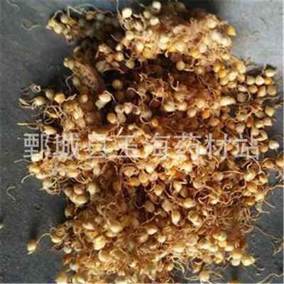 生谷芽 芽多 炒谷芽 玉海各种