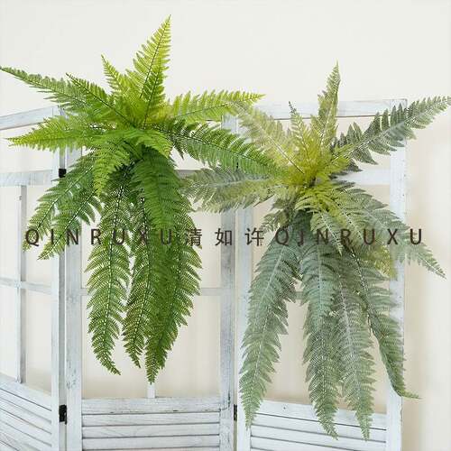 18片大叶蕨波斯壁挂 创意超大蕨类植物墙挂 吊顶景观装饰绿植蕨叶