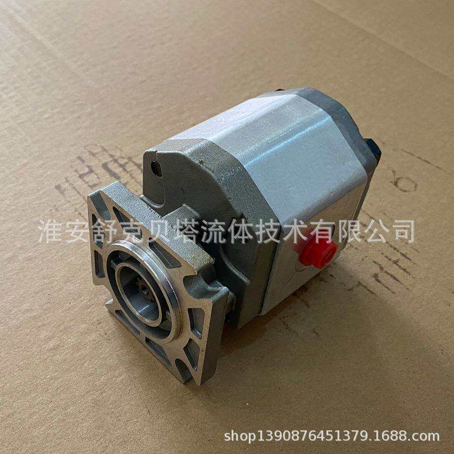 CB1S-F10-AFA举升和传送机械齿轮泵