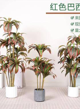 高端轻奢仿真红色巴西木树假绿植盆栽室内客厅大型落地装饰摆件仿
