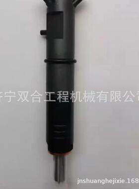 喷油嘴 喷油器10000-02456 10000-00270 1000002456 1000000270