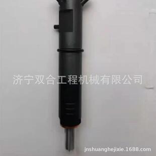 喷油嘴 喷油器10000-02456 10000-00270 1000002456 1000000270