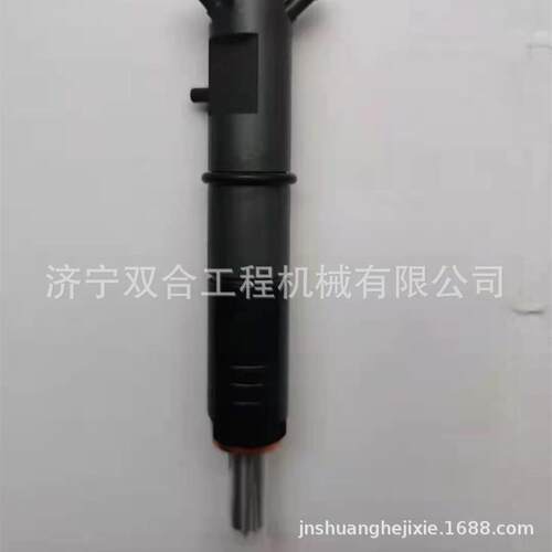 喷油嘴 喷油器10000-02456 10000-00270 1000002456 1000000270